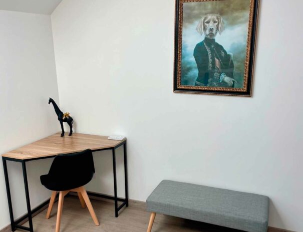 epidort-image-chambre-decoration