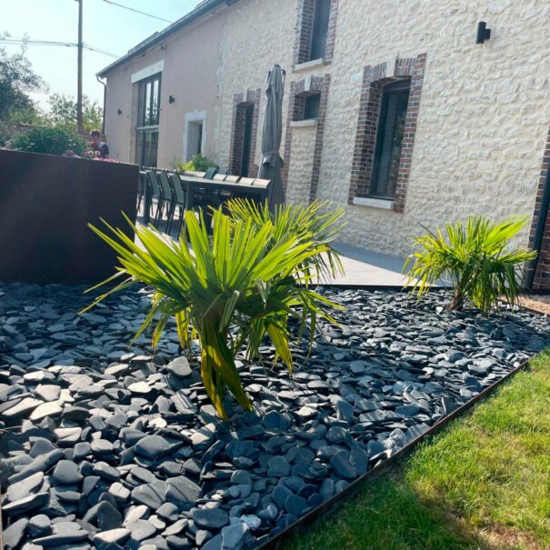 epidort-image-exterieur-palmiers