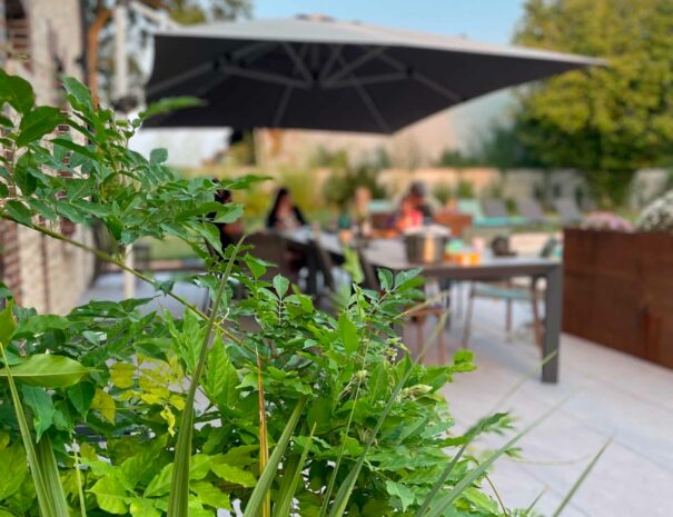 epidort-image-exterieur-terrasse