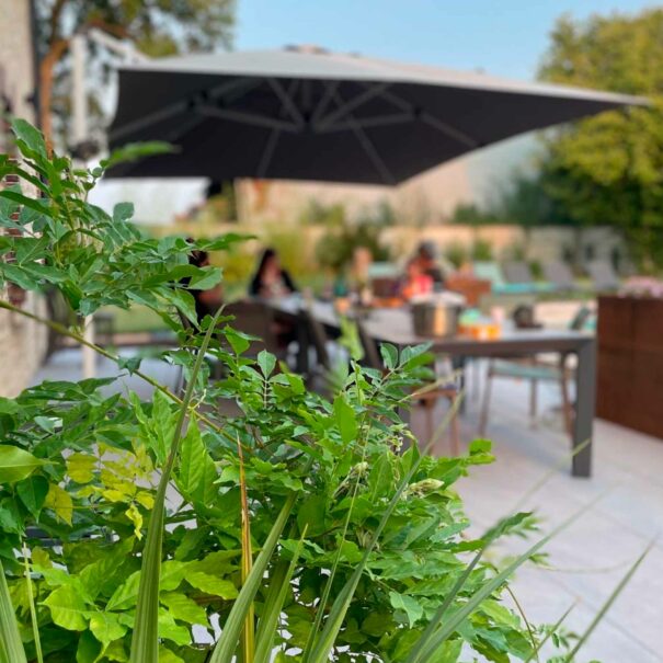 epidort-image-exterieur-terrasse